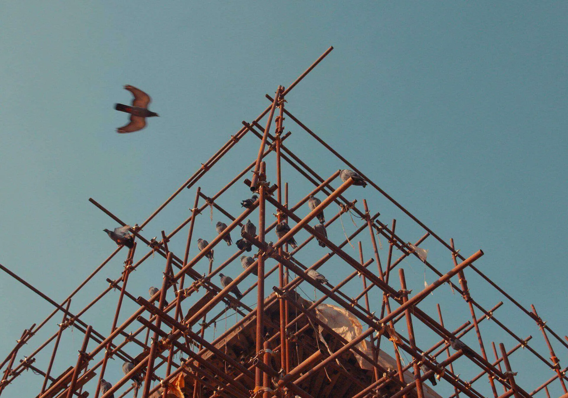 Featured image for The Main Advantages of Hiring a Professional Scaffold Company
