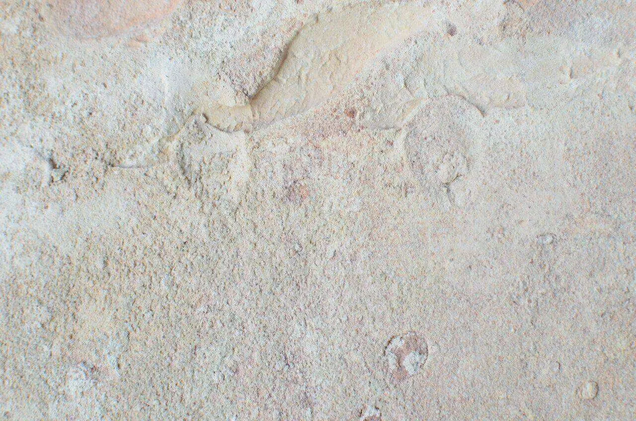 Close-up view of a textured stucco surface with a rough, sandy appearance and natural beige color.