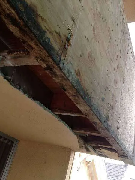 Exposed building section with visible dry rot damage on wood, showing discoloration and deterioration.