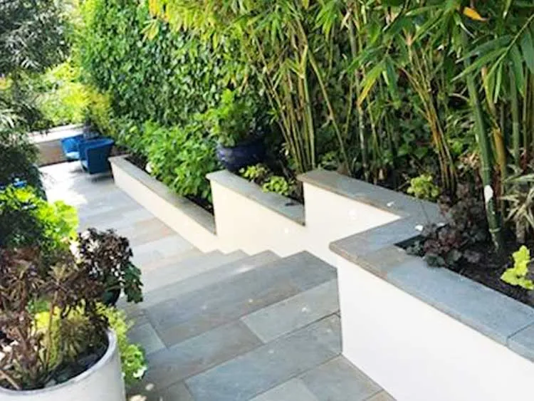 Outdoor garden area with stone pathway and raised planters filled with green plants and bamboo. — Fairfax area