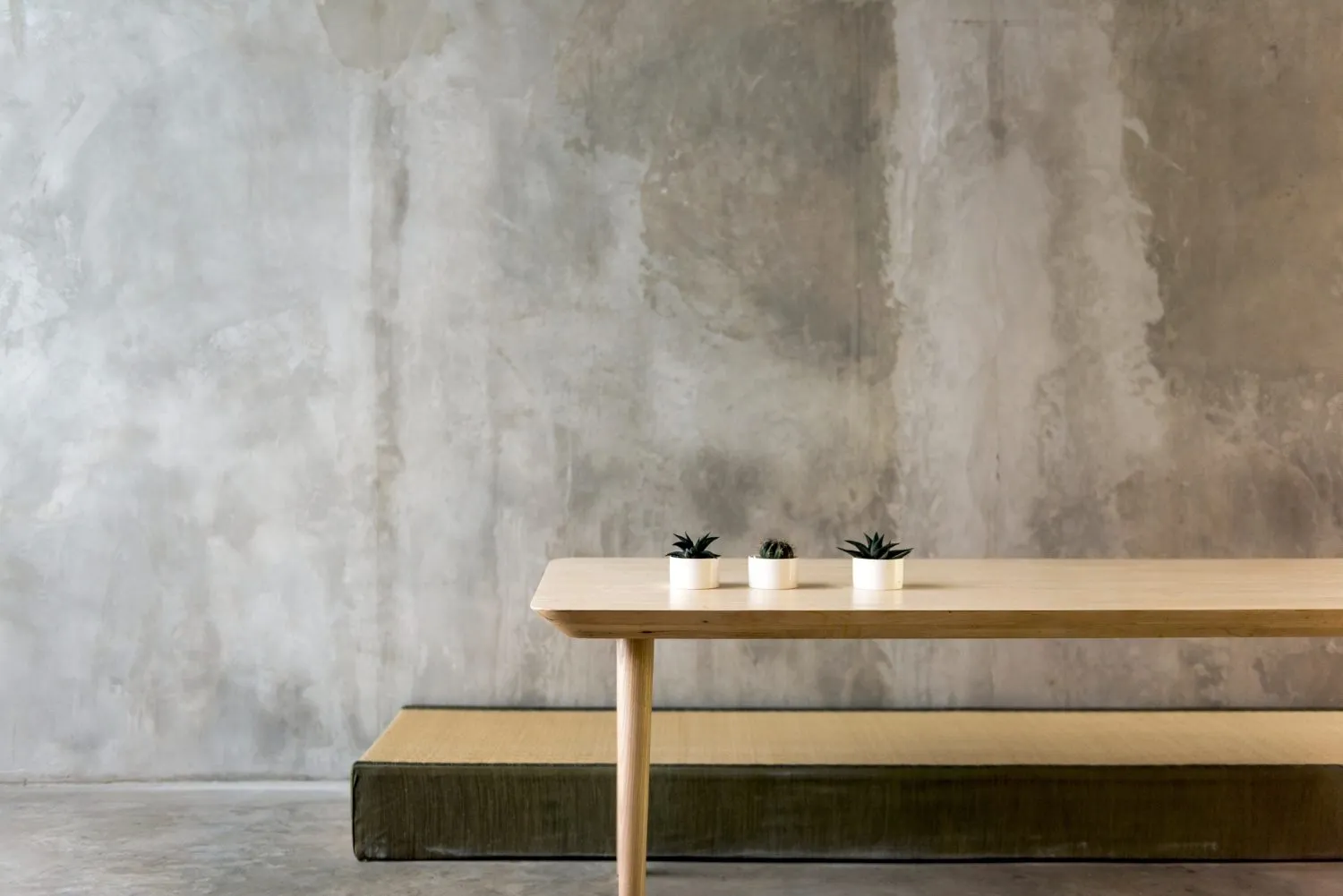 Minimalist room with wooden table, potted plants, and textured plaster wall.