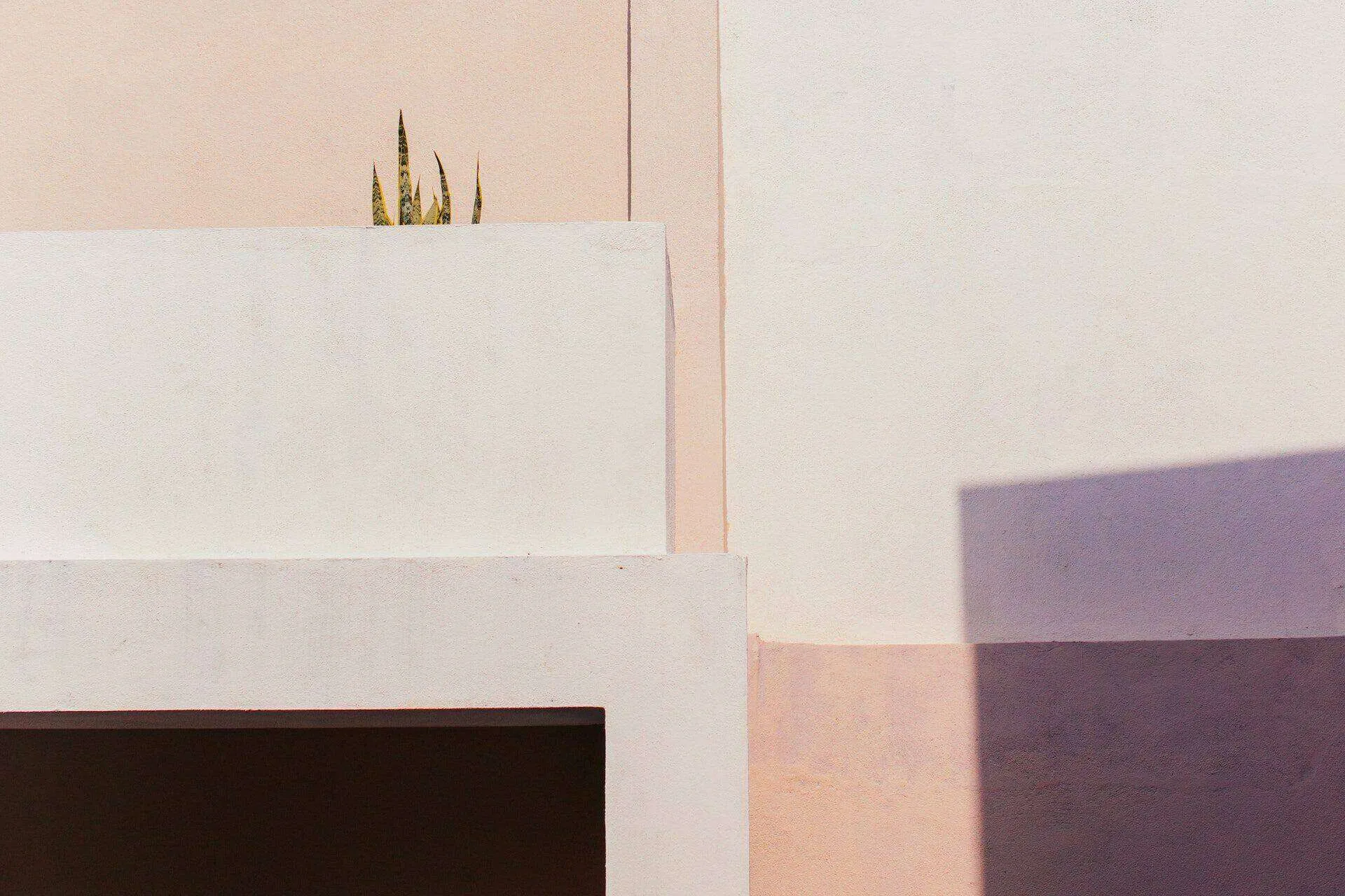 Minimalist exterior wall with smooth stucco in light pink and white, featuring a small plant.