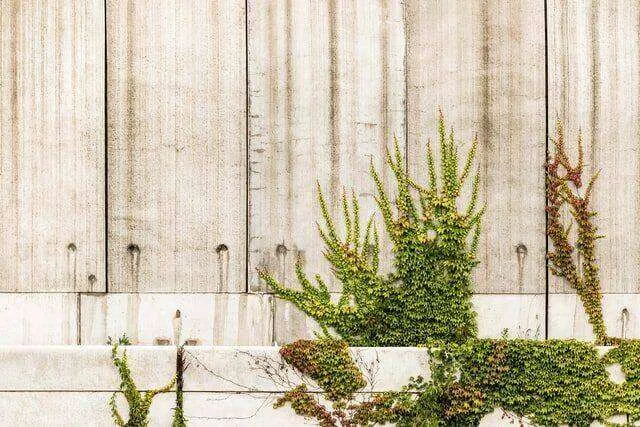 Featured image for 5 Signs That You Have a Stucco Leak