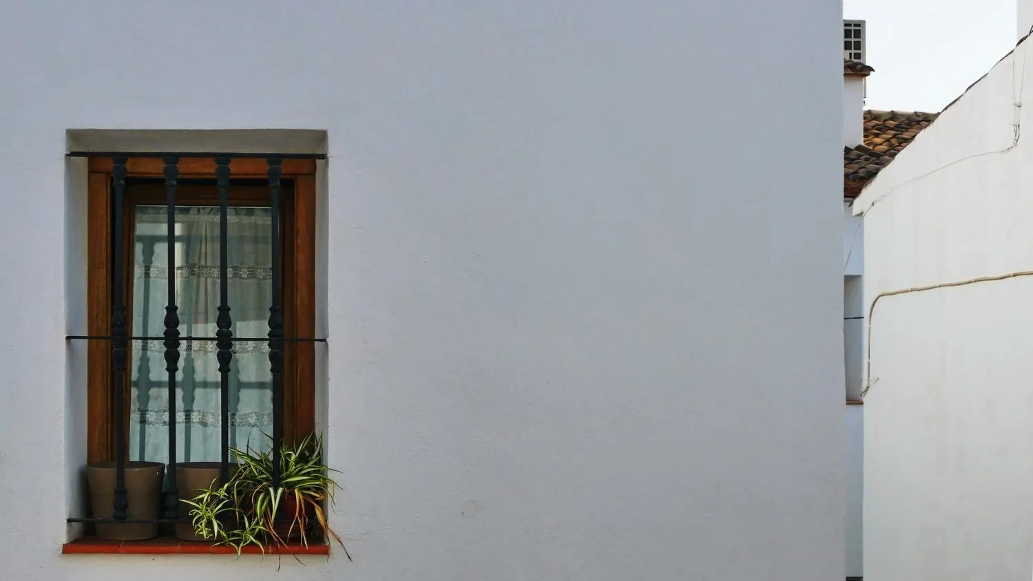 White stucco wall with a wooden window frame, metal bars, and potted plants on the sill.