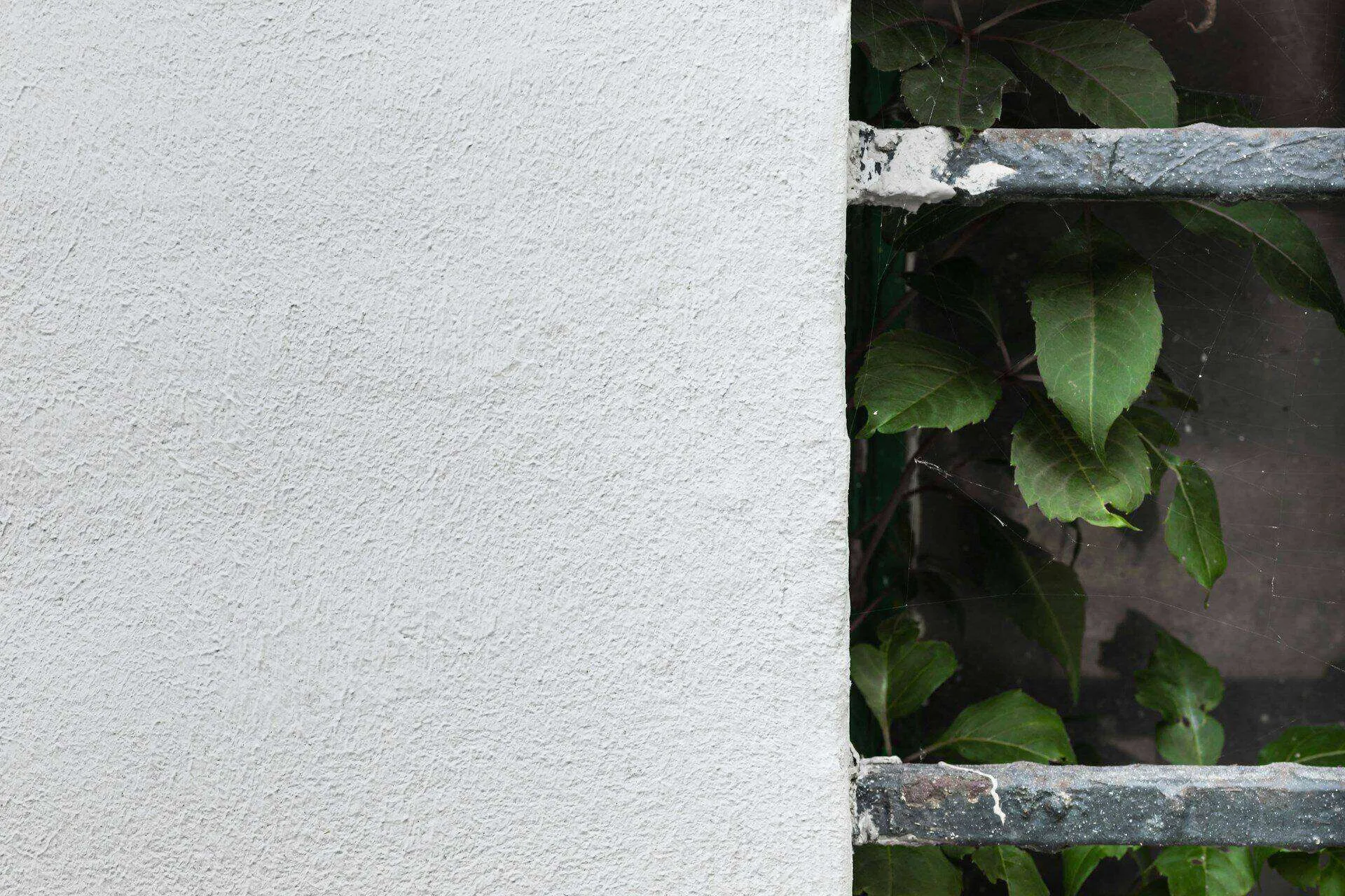 Textured stucco wall next to a window with green leaves visible through it. — Fairfax area