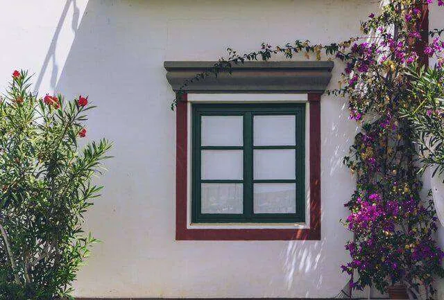 Window on a stucco wall with decorative trim and climbing plants, surrounded by greenery. — San Anselmo area