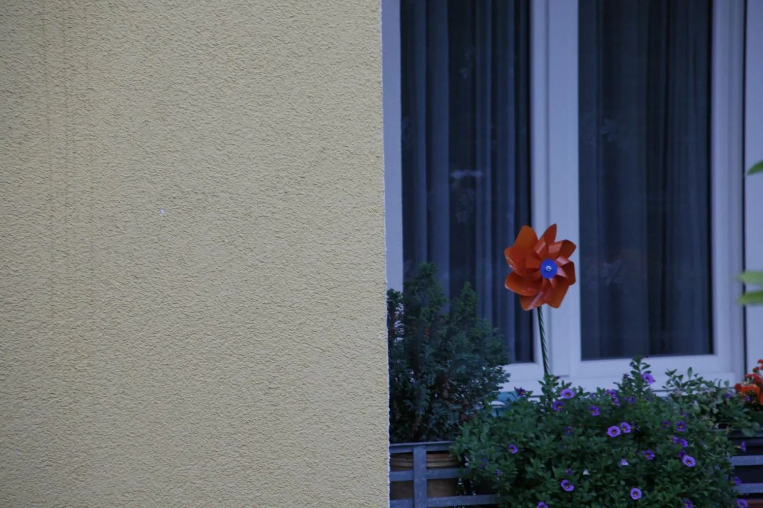 Textured exterior wall beside a window with a flower box containing plants and an orange pinwheel. — Alameda area