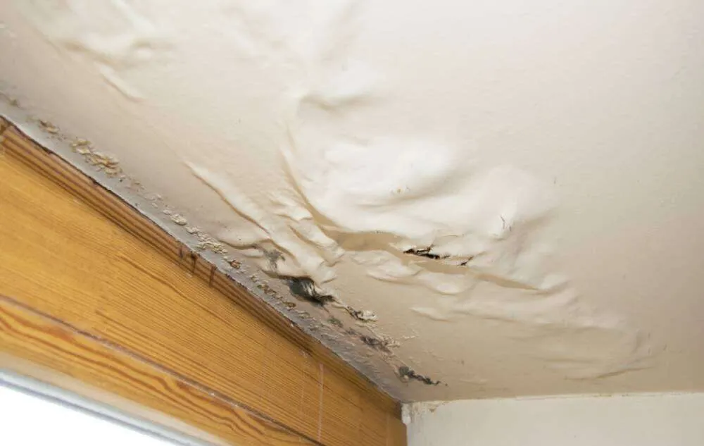 Ceiling with water damage and bubbling paint above a wooden beam, indicating a leak.