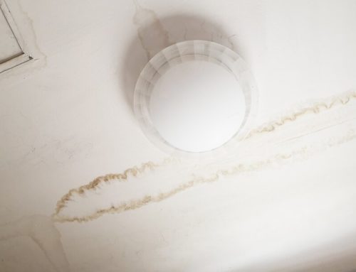 Why You Should Get Water Damaged Plaster Ceilings Repaired
