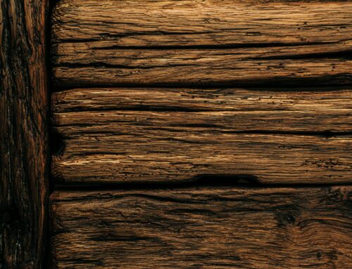 Identifying and Fixing Dryrot in Your Home: A Homeowner’s Guide